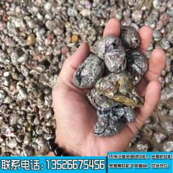 液壓龍門(mén)剪生產(chǎn)線視頻